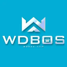WDBOS - Petualangan Seru di Dunia Arcade